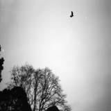 Black Skies - On The Wings Of Time